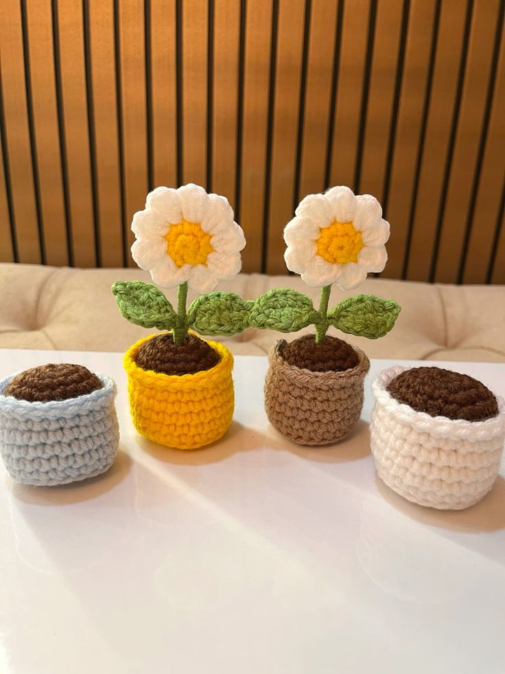 crochet daisy pot